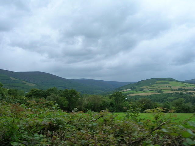 DSCN8965
