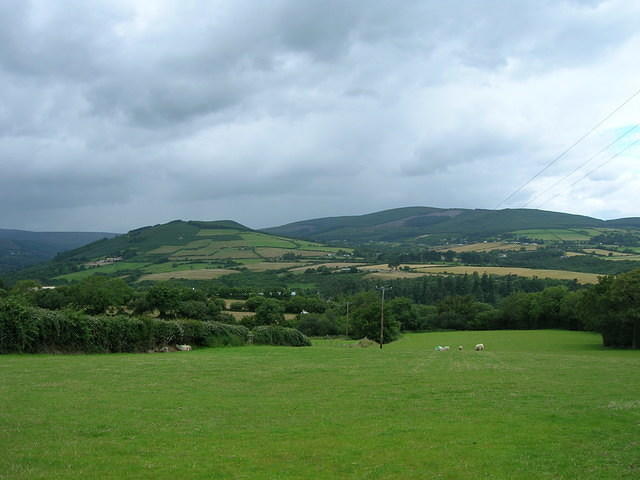 DSCN8966