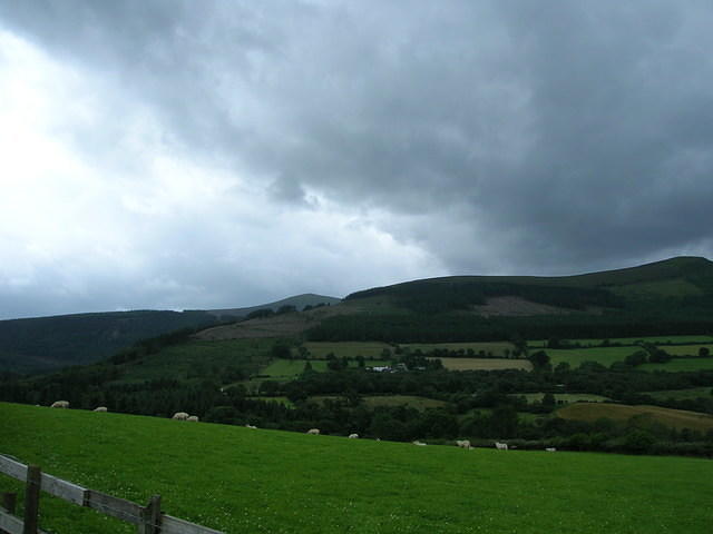DSCN8970
