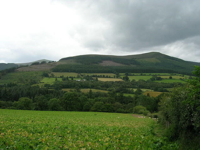 DSCN8971