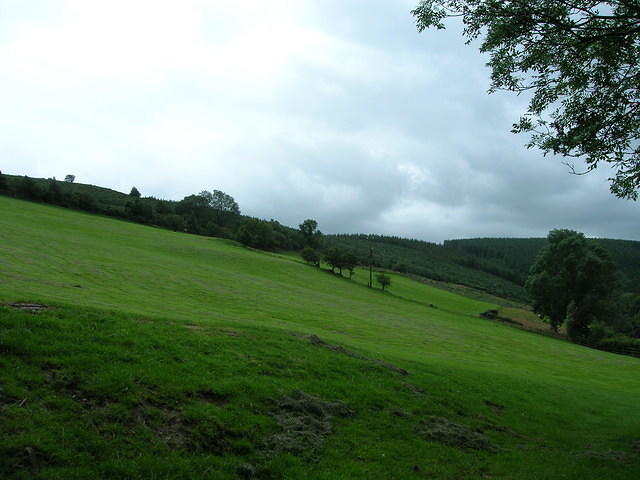 DSCN8972