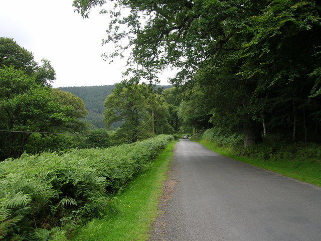 DSCN8974
