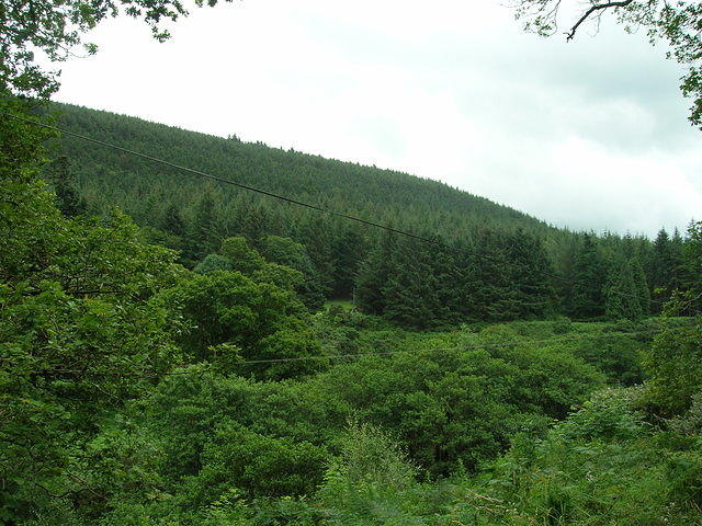 DSCN8976