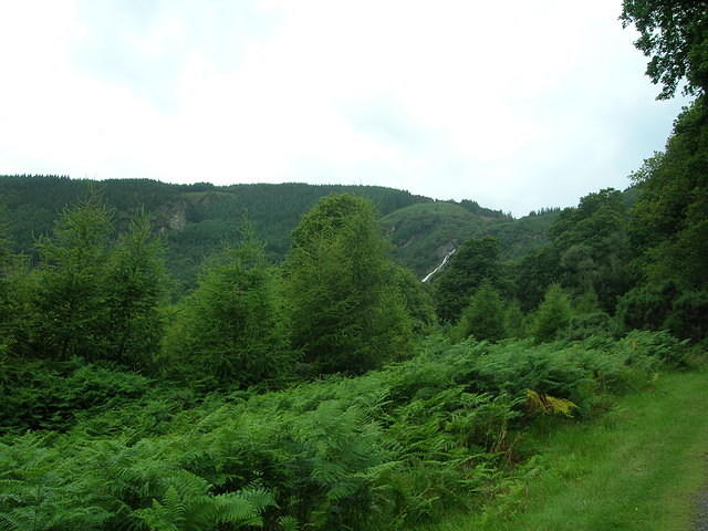 DSCN8977