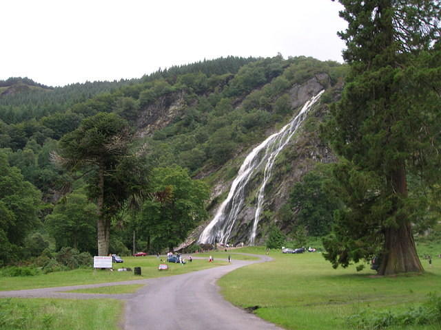 DSCN8981