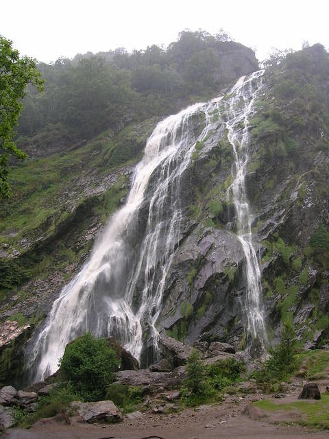 DSCN8983