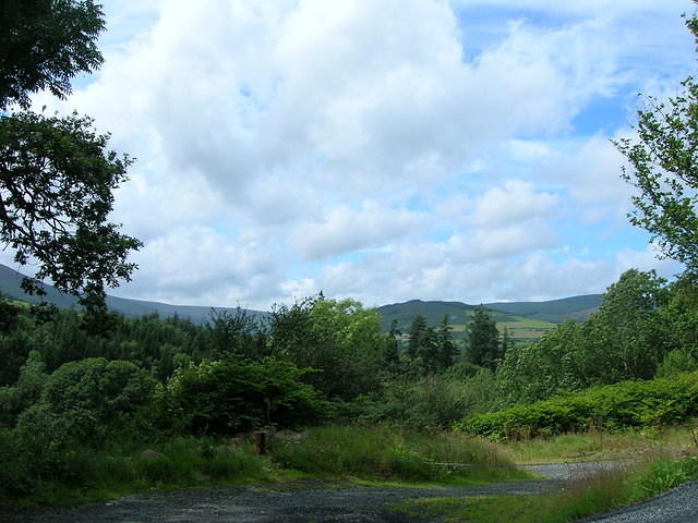 DSCN8987