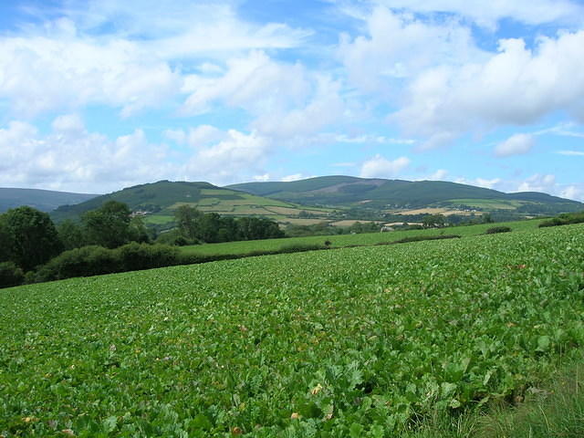 DSCN8988