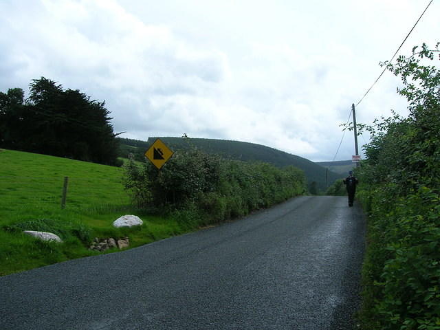 DSCN8990