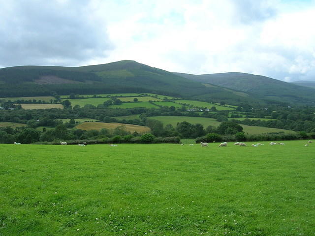DSCN8991