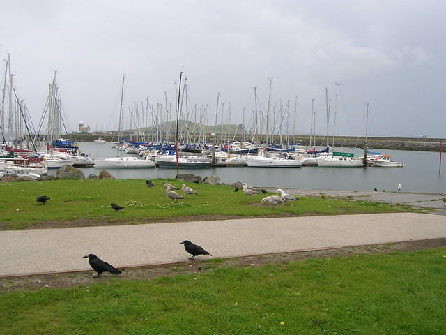 DSCN9029