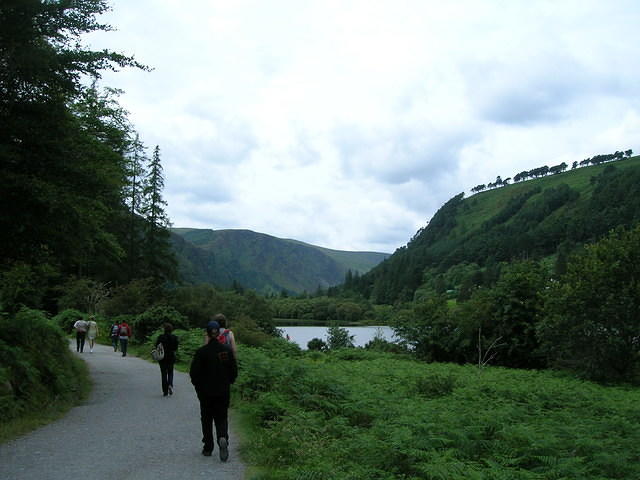 DSCN9054