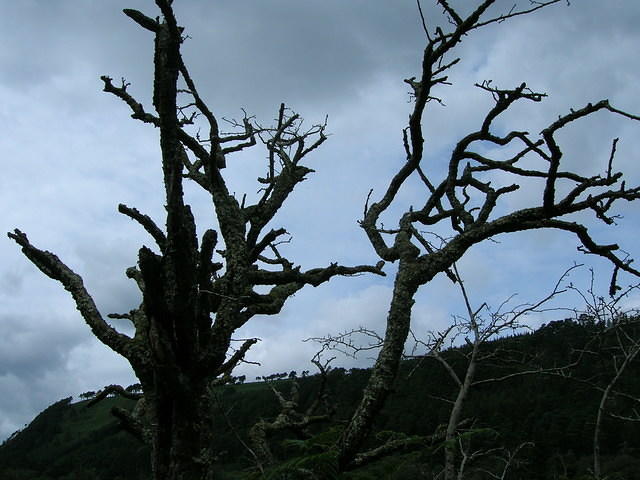 DSCN9055