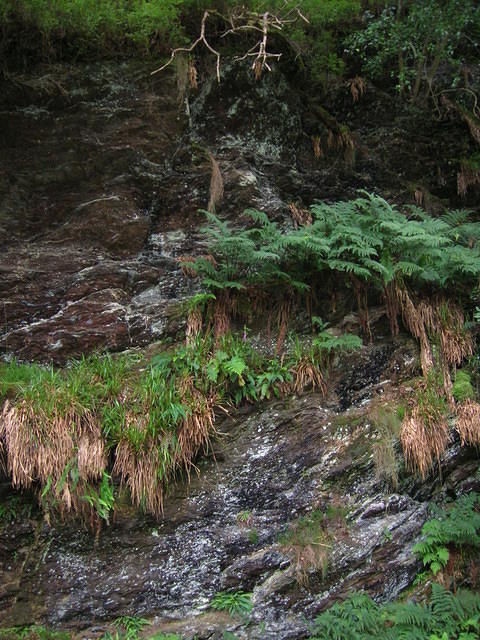 DSCN9060