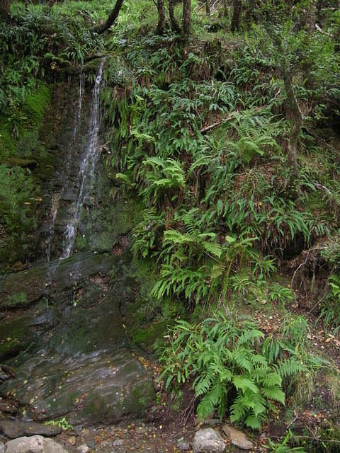 DSCN9061