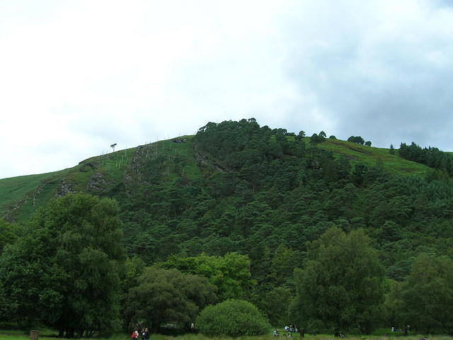 DSCN9065