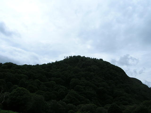DSCN9066