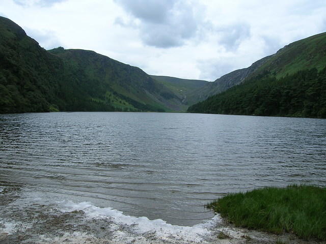 DSCN9067