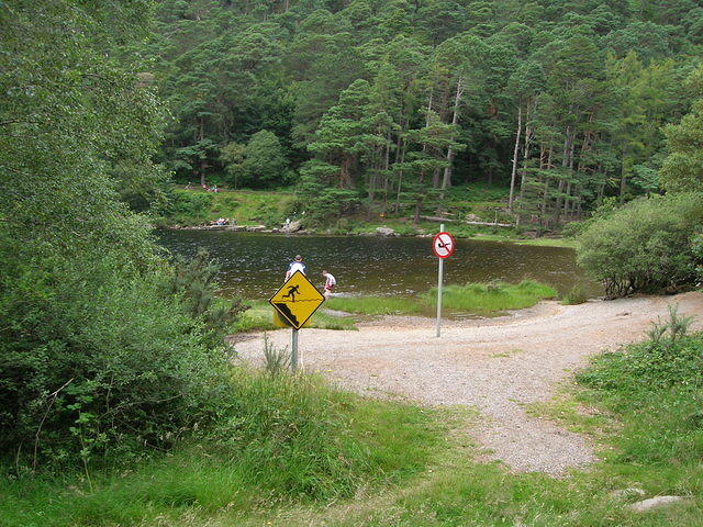 DSCN9073