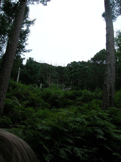 DSCN9079