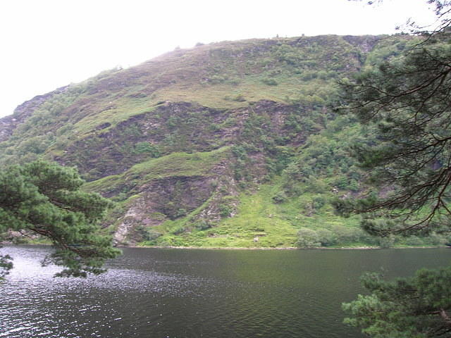 DSCN9084