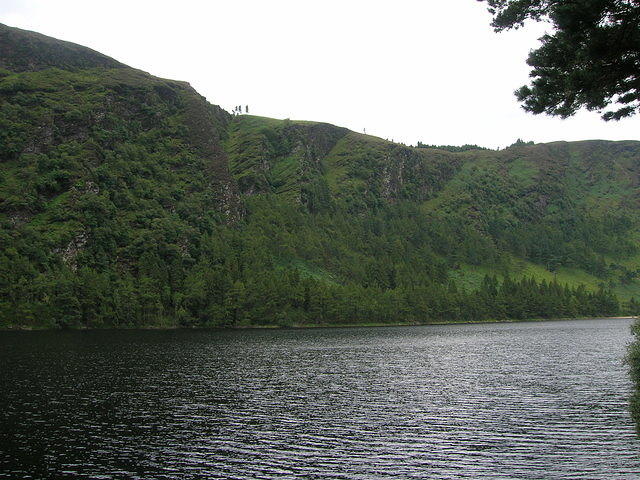 DSCN9085