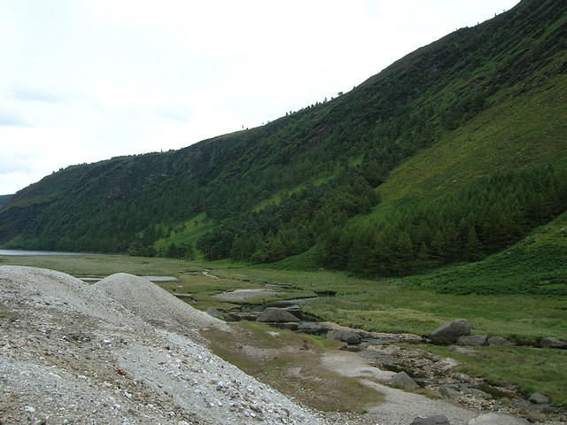 DSCN9100