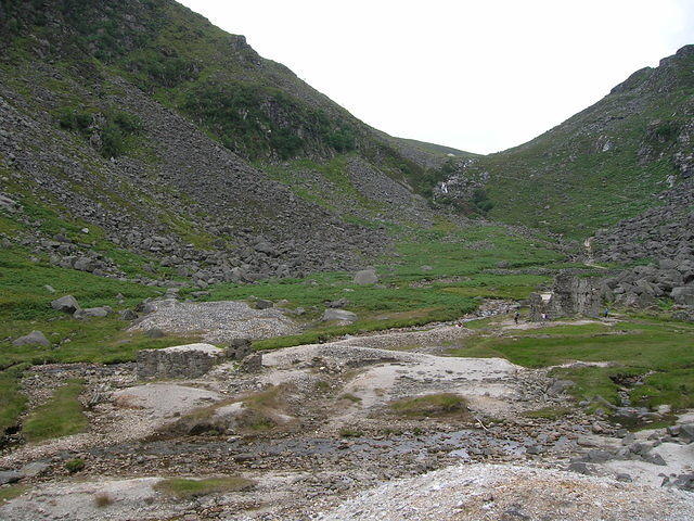 DSCN9101