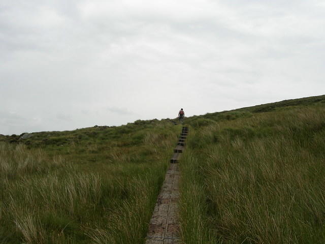 DSCN9121