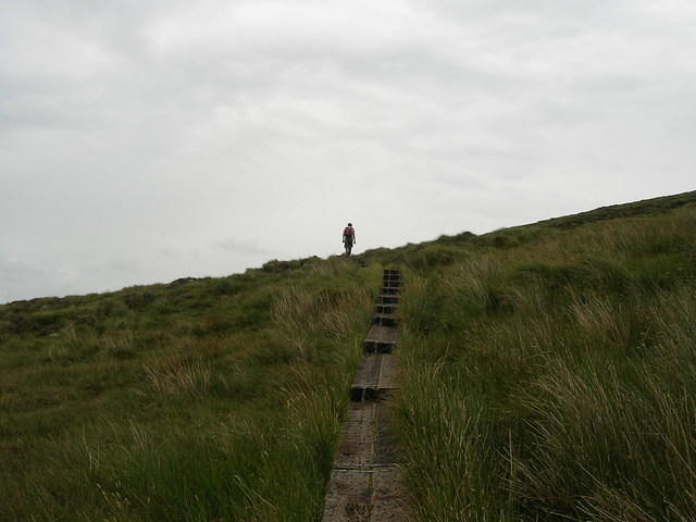DSCN9122
