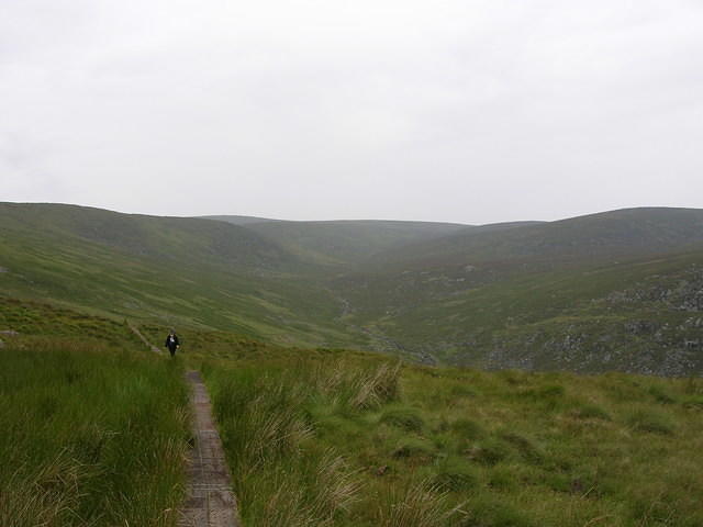 DSCN9123