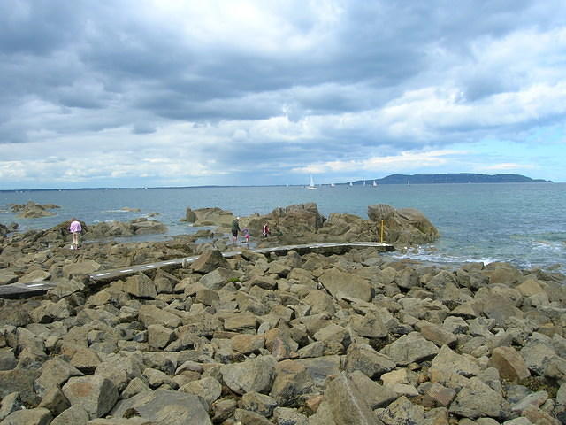 DSCN9217
