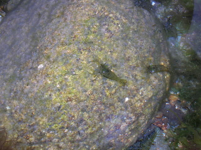DSCN9241