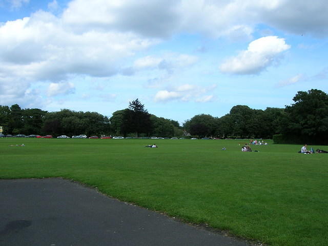 DSCN9266