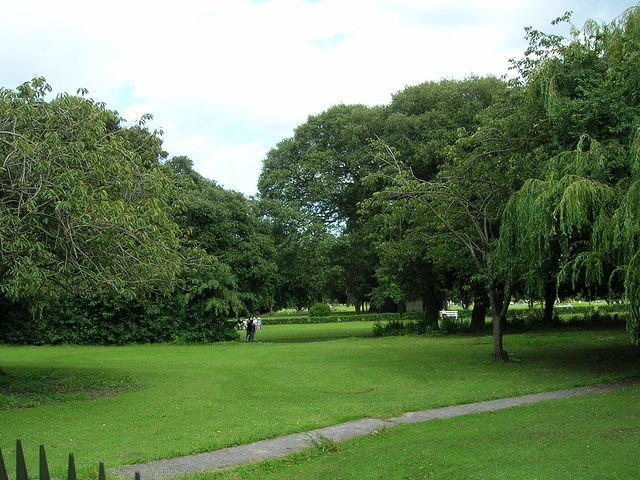 DSCN9267