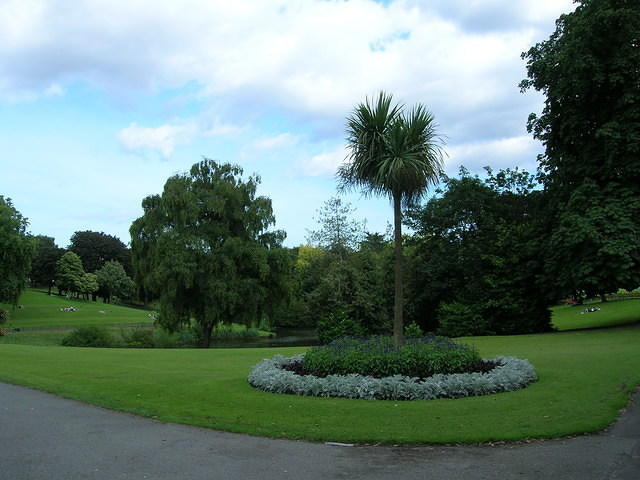 DSCN9268