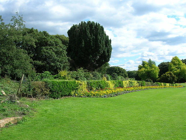 DSCN9282