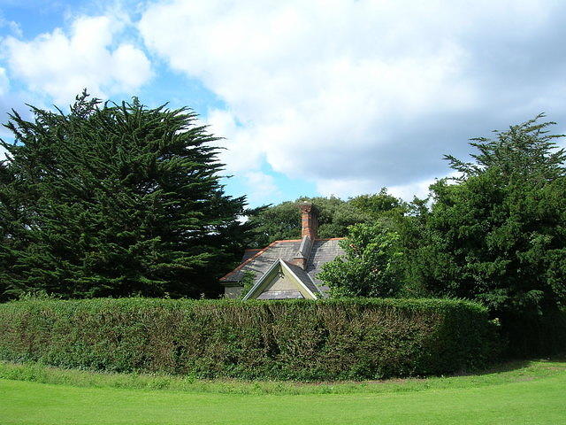 DSCN9283