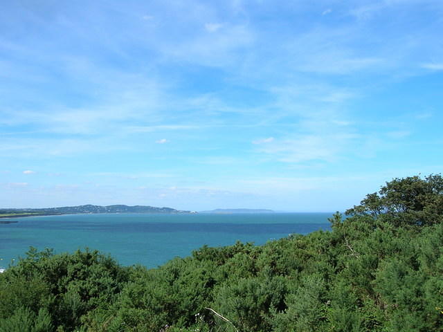 DSCN9303