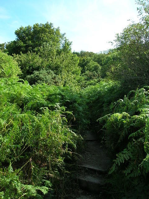 DSCN9304