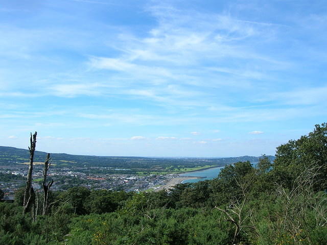 DSCN9307