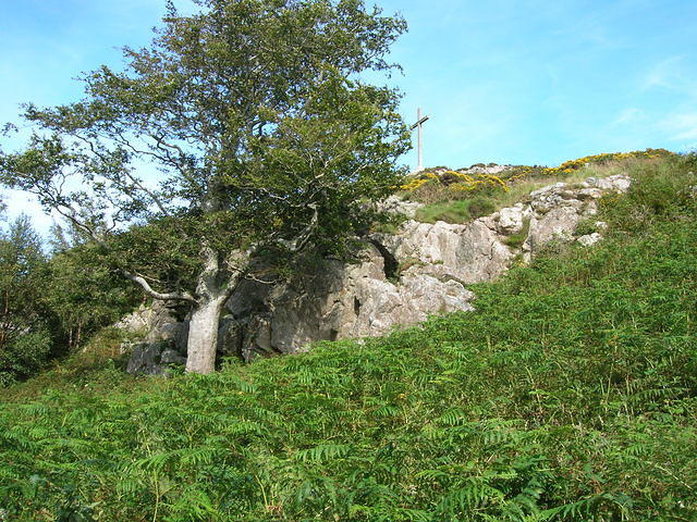 DSCN9312