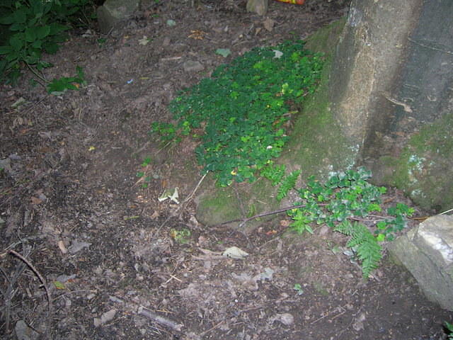 DSCN9332