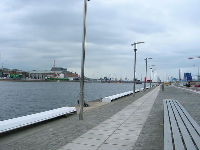 DSCN9353