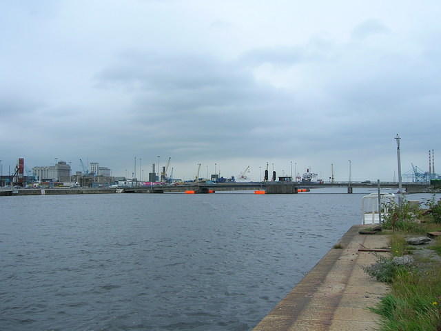 DSCN9354