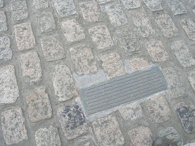 DSCN9377
