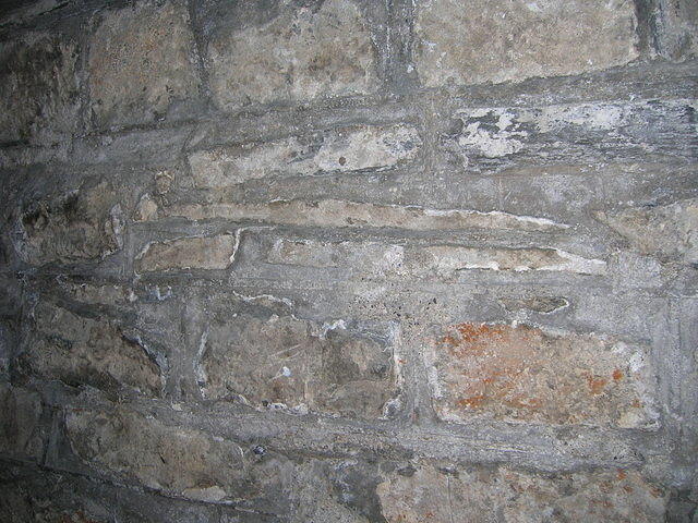 DSCN9440