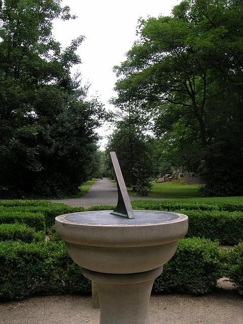 DSCN9464