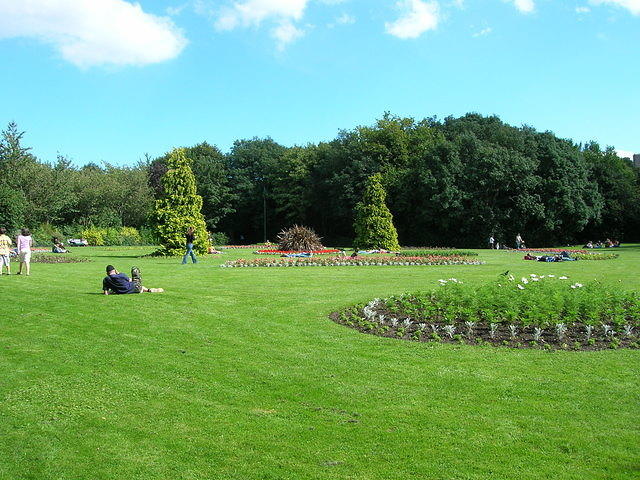 DSCN9539