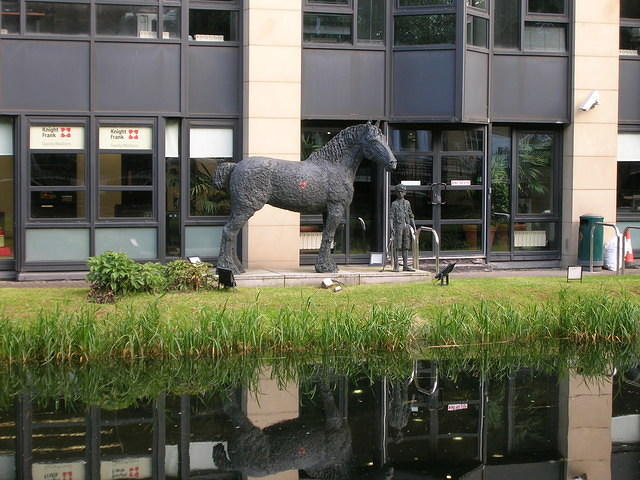 DSCN9553